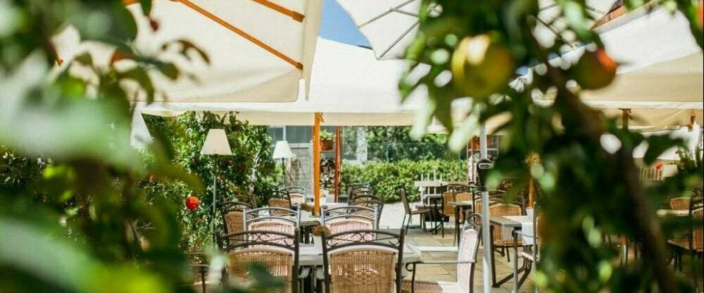 Landgasthof zum Pflug - Terrasse/Außenbereich