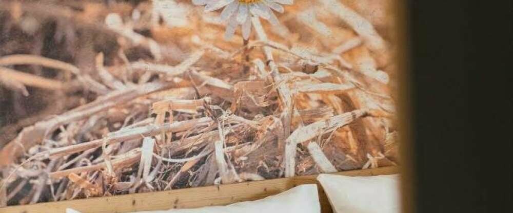 Landgasthof zum Pflug - Zimmer