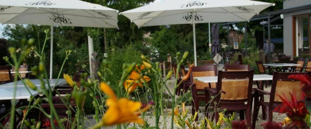 Landgut Hotel Zur Rose - Terrasse/Außenbereich