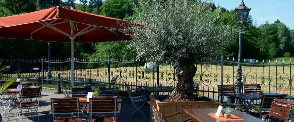 Terrasse Olive