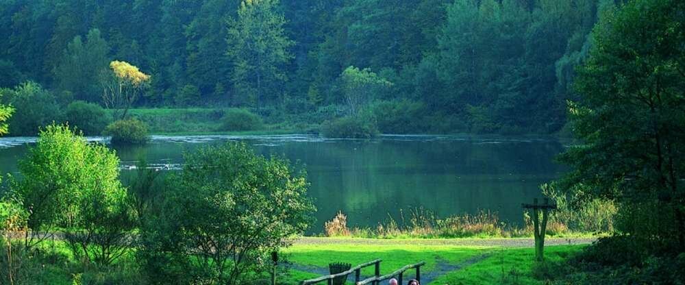 Landhotel Betz - Hotel-Freizeit_Aktiv-Wandern