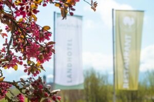 Landhotel Gockelwirt - Hotel Außenansicht