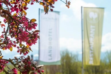 Landhotel Gockelwirt - Hotel Außenansicht, Quelle: Landhotel Gockelwirt