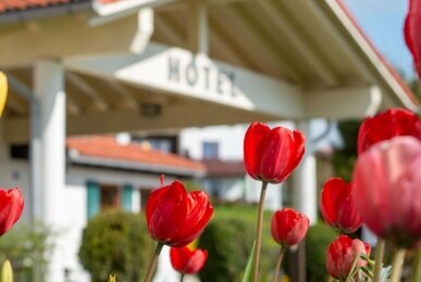 Landhotel Gockelwirt - Hotel Außenansicht, Quelle: Landhotel Gockelwirt