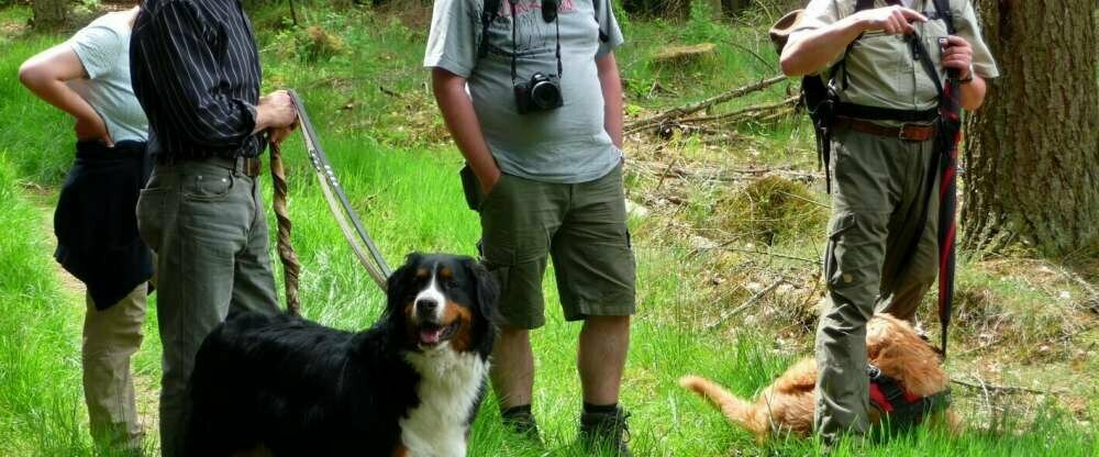 Landhotel Püster - Umgebung