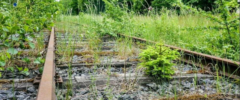 Landhotel Püster - Umgebung