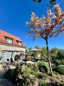 Array, Quelle: Landhotel Steigenhaus