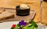 Landhotel Steigenhaus GmbH & Co. KG - Hotel-Außenansicht