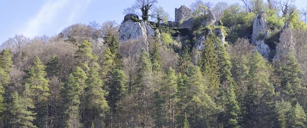 Landhotel Wittstaig - Umgebung