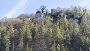 Landhotel Wittstaig - Umgebung