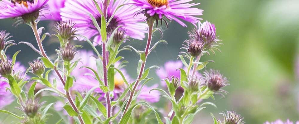 Landhotel Wittstaig - Umgebung