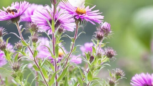 Landhotel Wittstaig - Umgebung