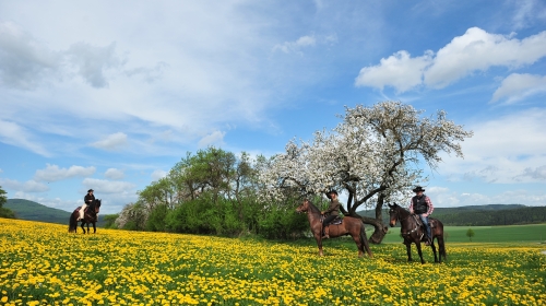 Landhotel Zur Grünen Kutte - Hotel-Außenansicht