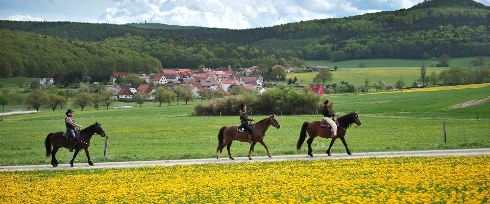 Landhotel Zur Grünen Kutte - Hotel-Außenansicht