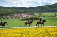 Landhotel Zur Grünen Kutte - Hotel-Außenansicht