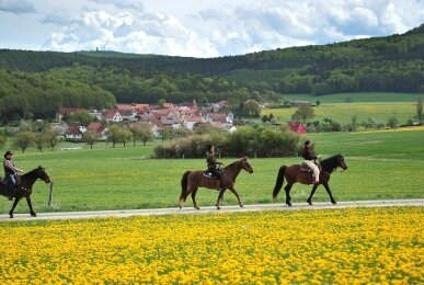 Array, Quelle: Landhotel Zur Grünen Kutte