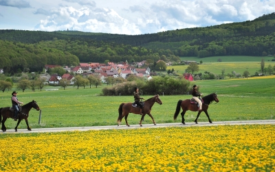 Landhotel Zur Grünen Kutte - Hotel-Außenansicht