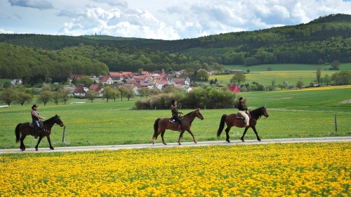 Landhotel Zur Grünen Kutte - Hotel-Außenansicht