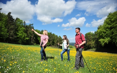 Landhotel Zur Grünen Kutte - Hotel-Außenansicht