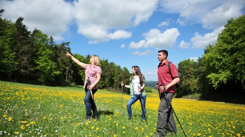 Landhotel Zur Grünen Kutte - Hotel-Außenansicht