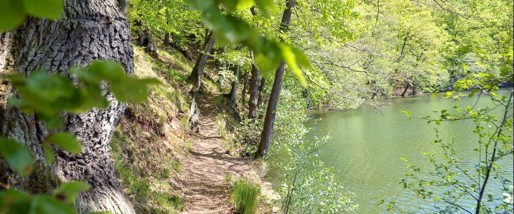 Landhotel Zur Grünen Kutte - Hotel-Außenansicht