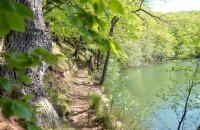 Landhotel Zur Grünen Kutte - Hotel-Außenansicht