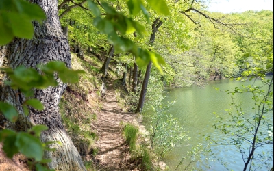 Landhotel Zur Grünen Kutte - Hotel-Außenansicht