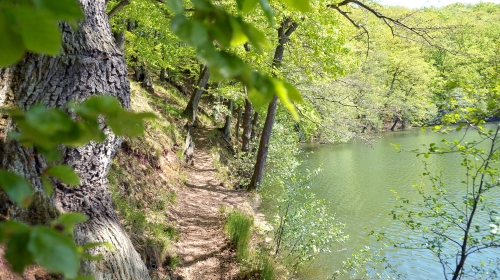 Landhotel Zur Grünen Kutte - Hotel-Außenansicht