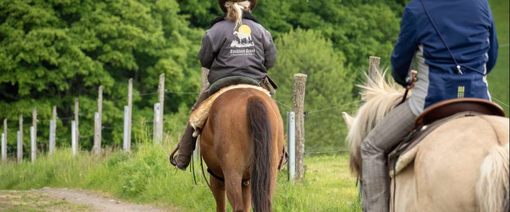Landhotel Zur Grünen Kutte - Umgebung