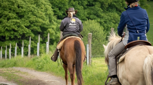 Landhotel Zur Grünen Kutte - Umgebung