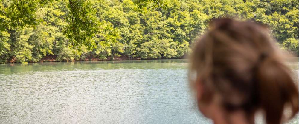 Landhotel Zur Grünen Kutte - Umgebung