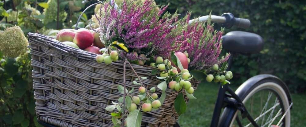 Rheinische Apfelroute