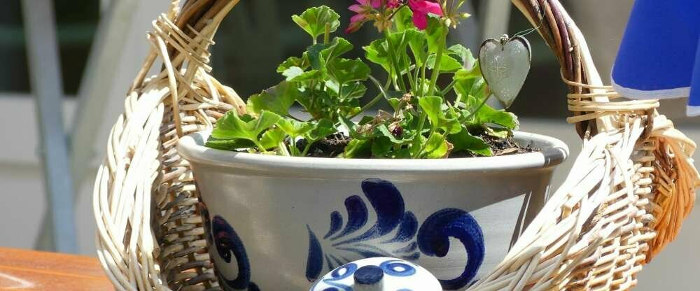 Landidyll Landhaus zum Mushof - Sonstiges