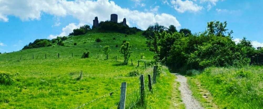 Landidyll Landhaus zum Mushof - Umgebung