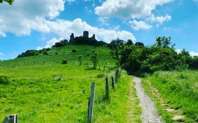 Landidyll Landhaus zum Mushof - Umgebung