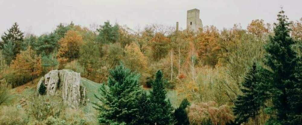 Landidyll Landhaus zum Mushof - Umgebung