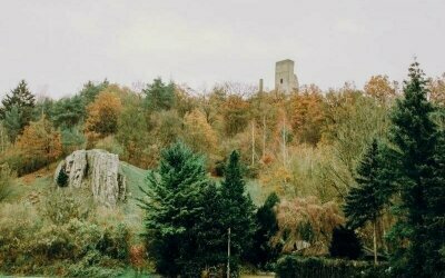 Landidyll Landhaus zum Mushof - Umgebung