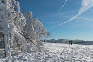 Landschaft