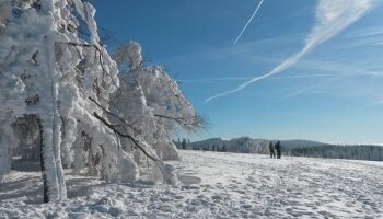 Landschaft