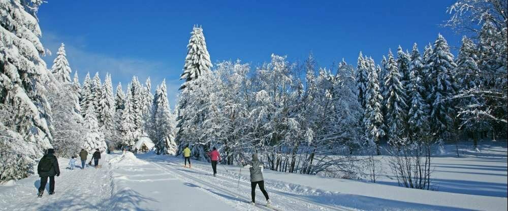 Langlauf direkt am Hotel