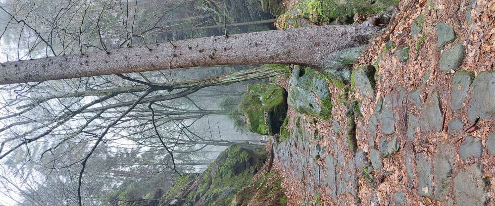 Liebesgewölbe Gbr - Umgebung