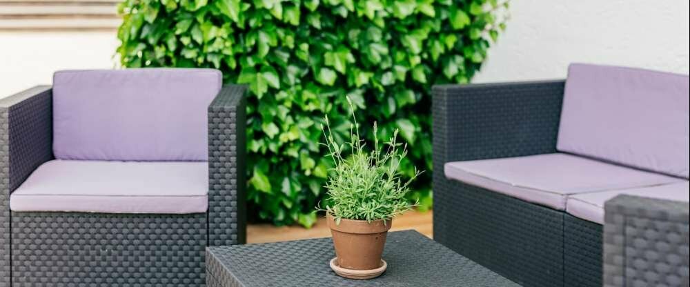 Unsere Lounge-Ecke lädt auf einen Aperitiv ein.