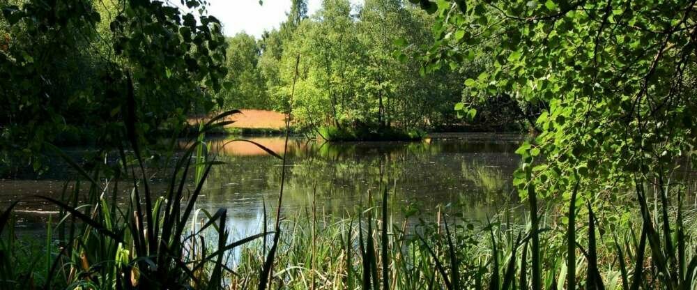Natursee direkt am Hotel