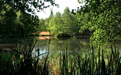 Natursee direkt am Hotel