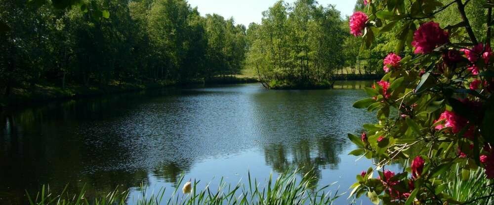 Natursee direkt am Hotel