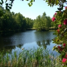 Natursee direkt am Hotel