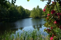 Natursee direkt am Hotel