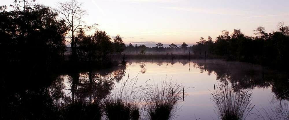 Lüneburger Heide am See