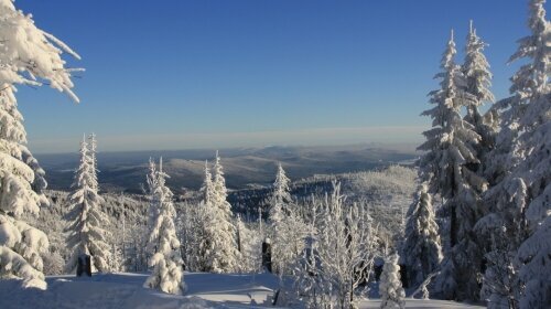 Schneeschuhwanderer