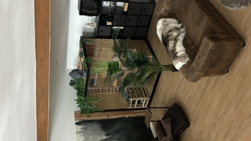 Unsere Suiten sind weit mehr als nur ein Zimmer – sie sind exklusive Private Spa Retreats, geschaffen für Menschen, die sich nach Ruhe, Zweisamkeit und einem echten Wellness-Erlebnis sehnen.
Jede Suite wurde mit viel Liebe zum Detail eingerichtet und ver